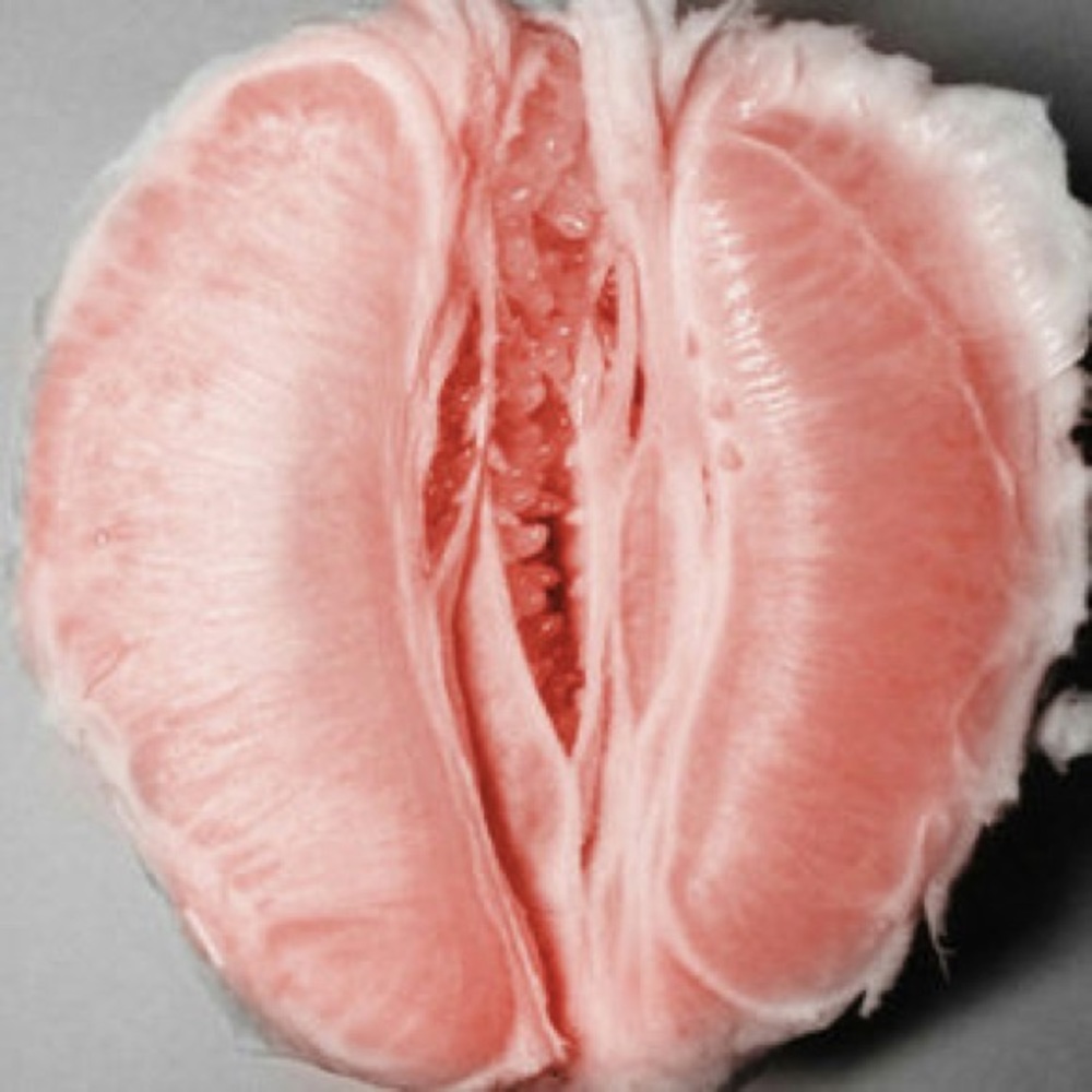 Meet your Posher, Sophia